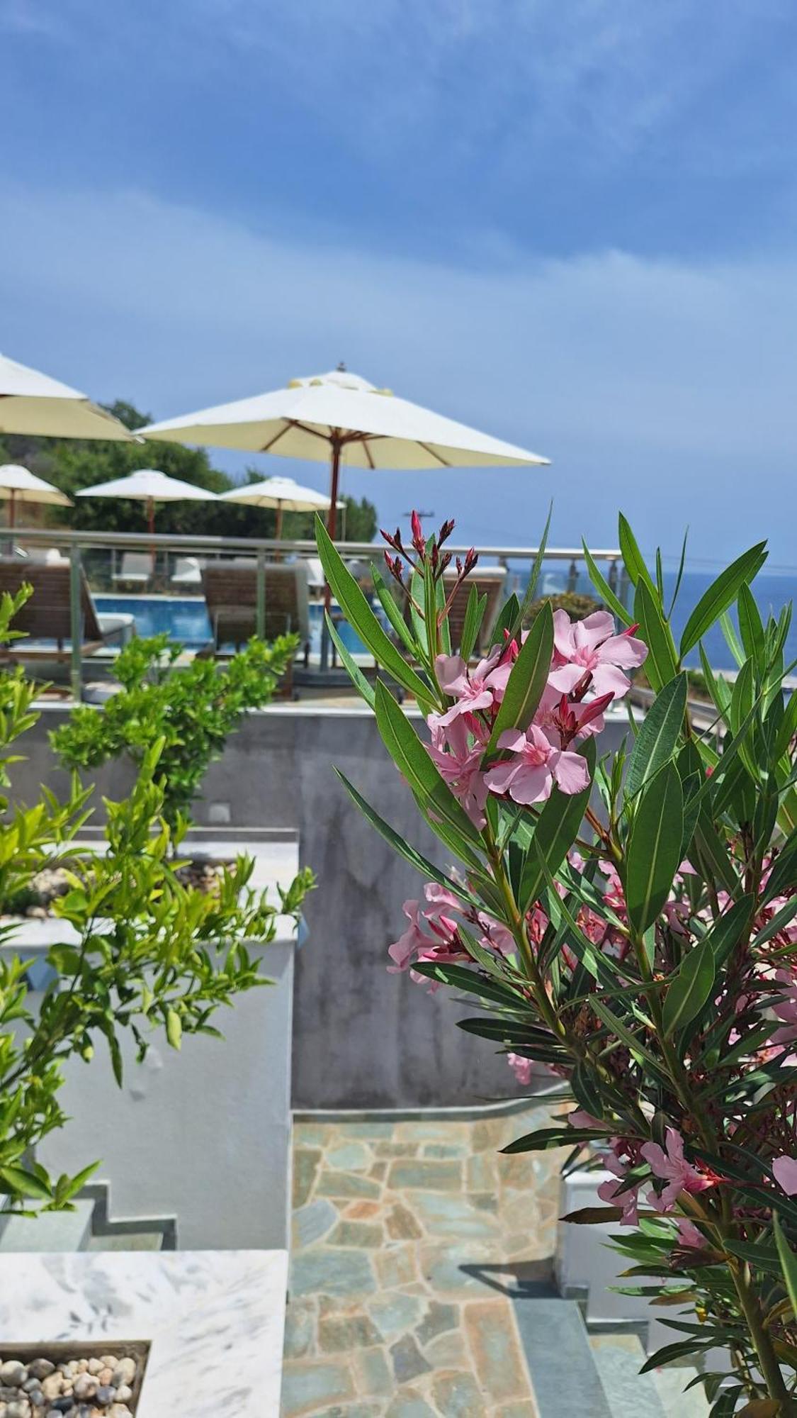 Sarti Thea Hotel Exterior photo