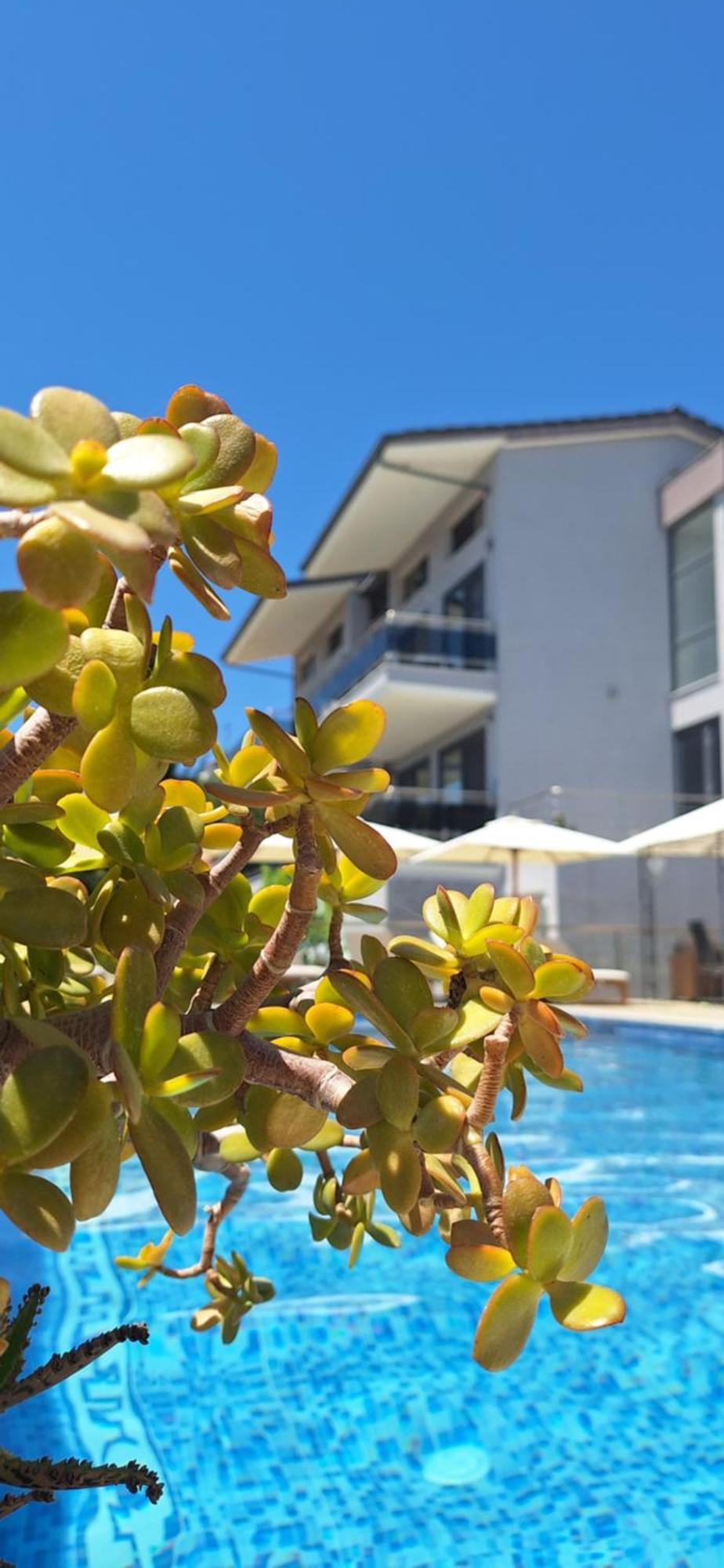 Sarti Thea Hotel Exterior photo